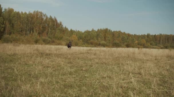 Vue lointaine d'une cavalière s'entraînant à monter à cheval dans un vaste champ avec de l'herbe haute dans un club d'équitation de campagne. — Video