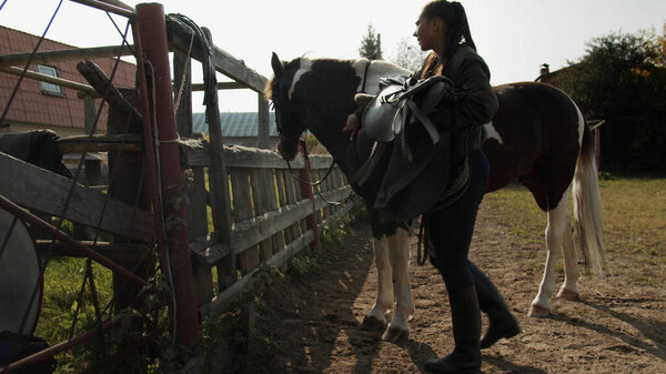 An experienced female private riding school trainer unsaddles the horse after training and hangs the harness on a wooden fence.