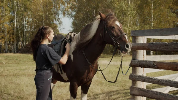 Menina estável experiente sela um cavalo no ar fresco, coloca na parte de trás dos suores, valtrap e sela. — Fotografia de Stock