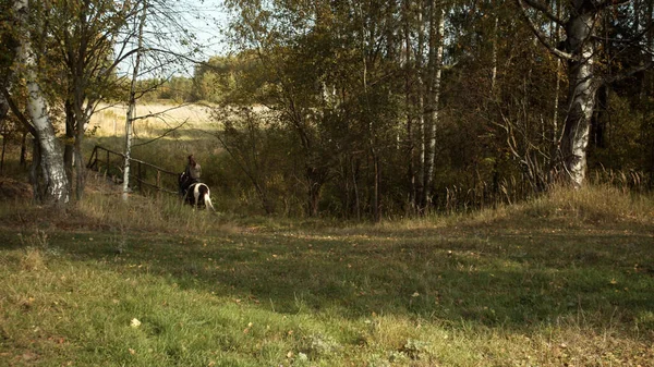 Młoda wiejska dziewczyna spaceruje na koniu po wiosce w jesienny dzień. Krajobraz wiejski, las i ścieżka. — Zdjęcie stockowe
