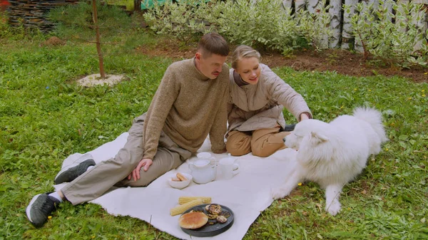 На пикнике во дворе дачи женщина гладит собаку, мужчина сидит рядом с ней на одеяле — стоковое фото