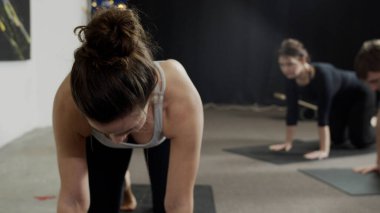 Kadınlar ve erkekler yogayı aşağı doğru, kedi pozu vererek meditasyona devam ediyorlar. 