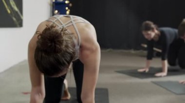 Kadınlar ve erkekler yogayı aşağı doğru, kedi pozu vererek meditasyona devam ediyorlar. 