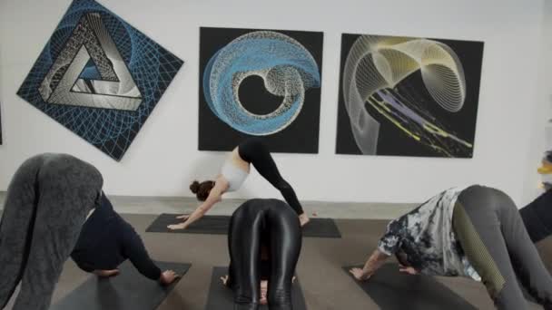 Los jóvenes se doblan lo más bajo posible durante una clase de yoga en un pequeño estudio con un suelo oscuro — Vídeos de Stock