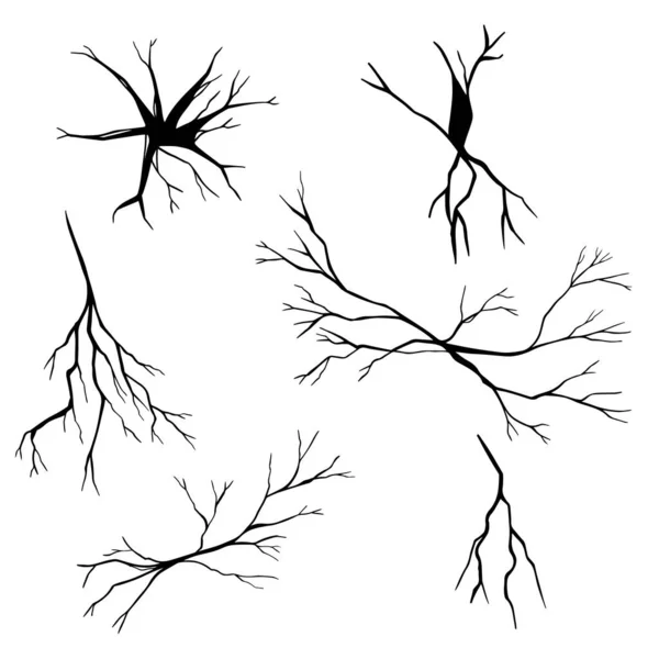 Handgezeichnete Risse Isoliert Auf Weißem Hintergrund Vektorillustration — Stockvektor