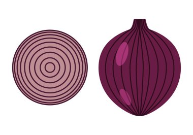 Soğan ve soğan dilimleri. Sağlıklı ve lezzetli yemekler. Beyaz arkaplanda vektör grafikleri.