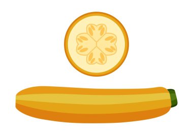 Sebze iliği ve sebze iliği dilimleri. Sağlıklı ve lezzetli yemekler. Beyaz arkaplanda vektör grafikleri.