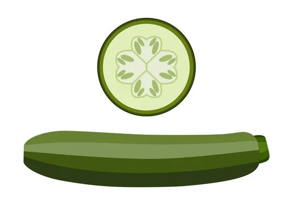 Zucchini Zucchini Slices Healthy Delicious Food Vector Graphics White Background — Archivo Imágenes Vectoriales