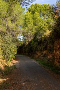 İspanya 'nın Algimia de Alfara dağ kasabasındaki dağ manzaraları boyunca uzanan kırsal bir yol manzarası. Doğa konsepti