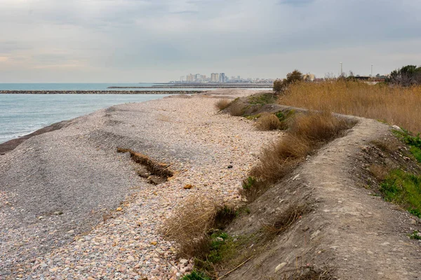 Spanya Nın Puzol Kentindeki Marjal Els Moros Doğal Bitki Kuş — Stok fotoğraf