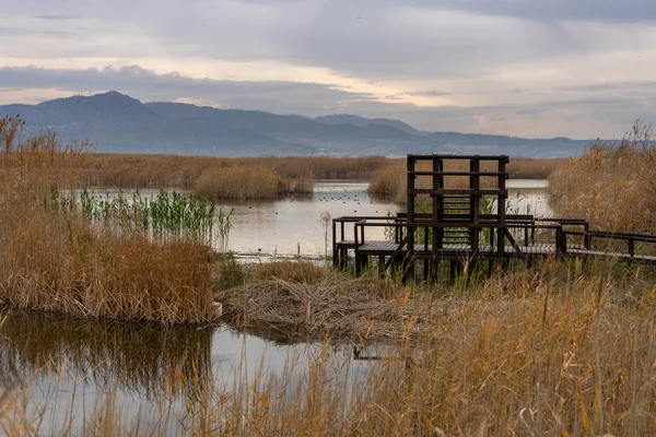 View Observatory Natural Reserve Plants Birds Marjal Els Moros Town — Stock Photo, Image