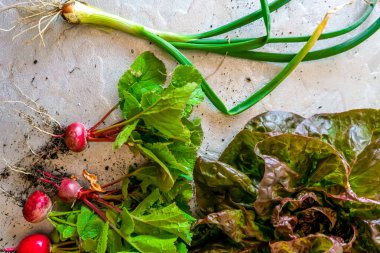Taze sebzelerin havadan görünüşü gri bir zeminden yeni çıkarıldı. Sağlıklı gıda konsepti