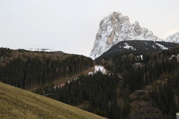 World Ski Men Ita Downhill Race — Stock Photo, Image