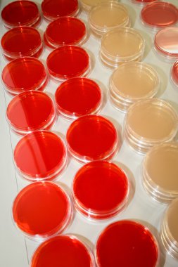 Bilim laboratuarı detayı - stok görüntü  