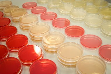 Bilim laboratuarı detayı - stok görüntü  