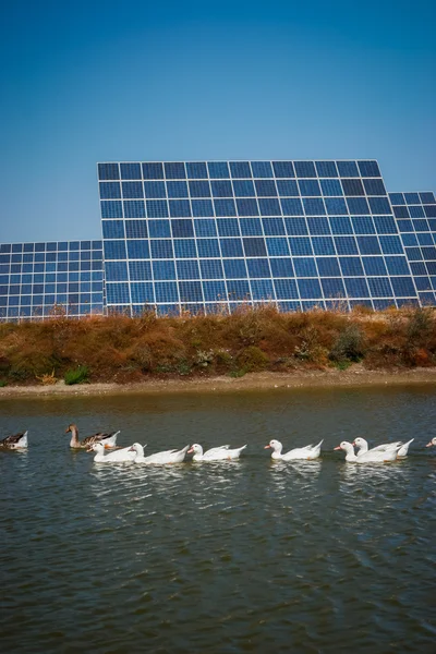 Granja de energía solar - Imagen de stock —  Fotos de Stock