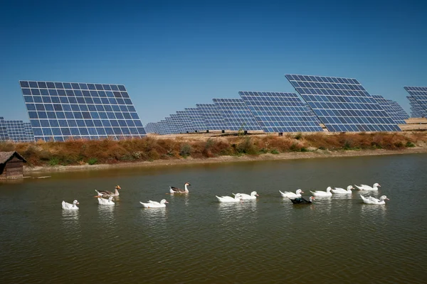 Granja de energía solar - Imagen de stock —  Fotos de Stock