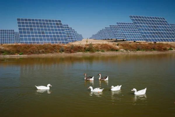 Granja de energía solar - Imagen de stock —  Fotos de Stock