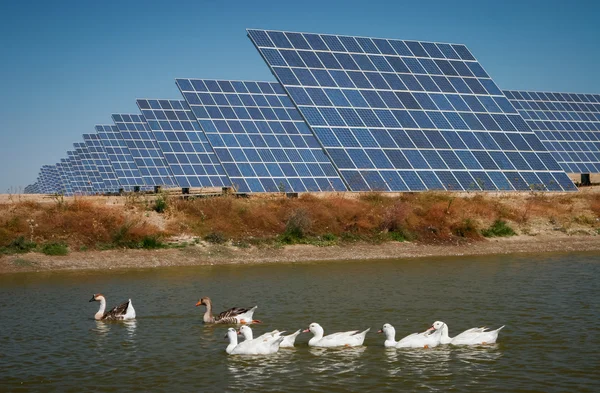 Granja de energía solar - Imagen de stock —  Fotos de Stock