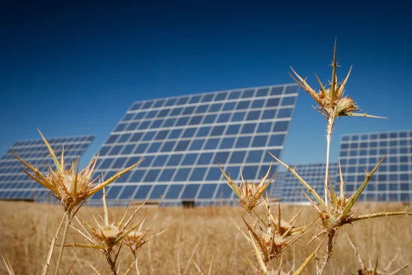 Granja de energía solar - Imagen de stock Fotos De Stock Sin Royalties Gratis