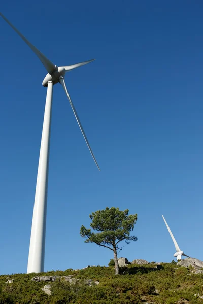 Modern windmill energy - Stock image — Stock Photo, Image