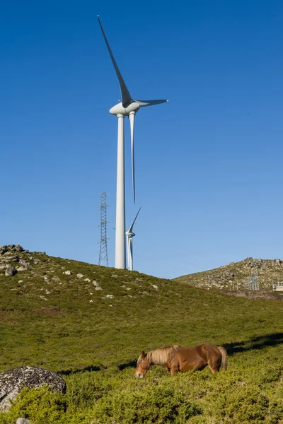Modern windmill - Stock image — Stock Photo, Image