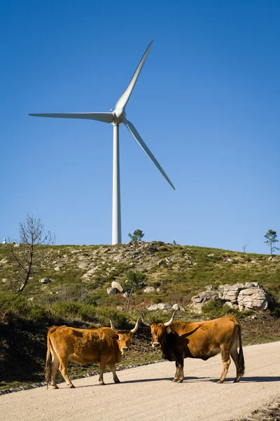 Wind turbines - Stock image — Stock Photo, Image