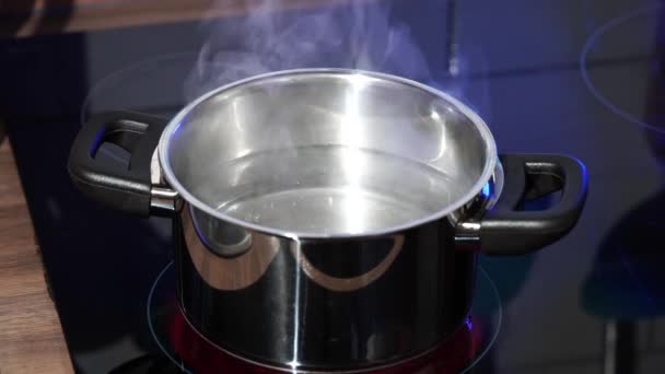 Boiling Water Stainless Steel Pan Close — Stock Video