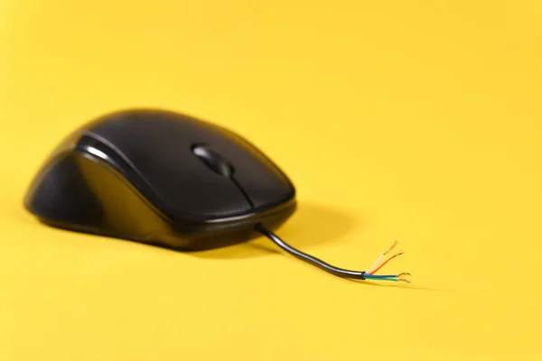 Mouse Computador Com Cabo Quebrado Fundo Amarelo Fotos De Bancos De Imagens