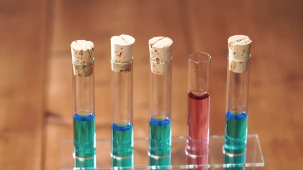 実験室のガラスの赤い液体の落下 化学実験 — ストック動画
