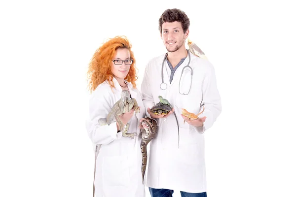 Veterinarians posing isolated — Stock Photo, Image