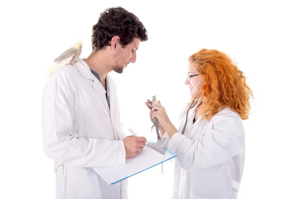 Veterinario con animales — Foto de Stock