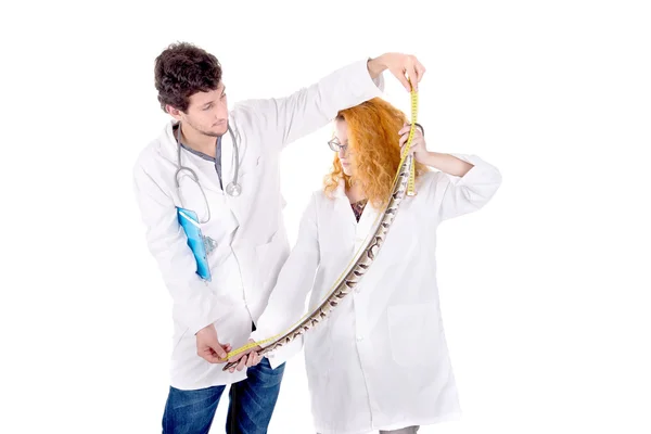 Veterinario con animali — Foto Stock