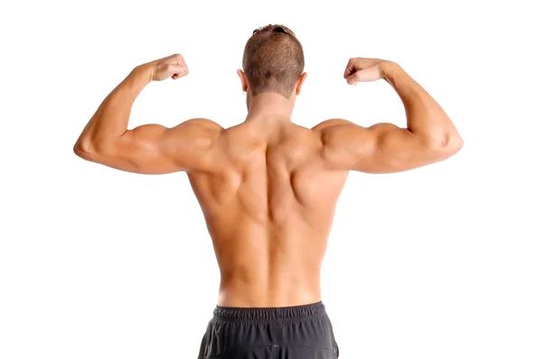 Bodybuilder Stock Image