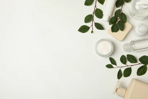 Beyaz arka planda yaprakları olan kaplıca ürünleri ve şubeleri, üst görünüm