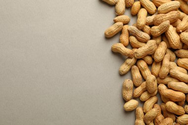 Gri arkaplanda kabuklu yer fıstığı, metin için boşluk