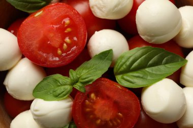 Mozzarella, domates ve fesleğen tüm arka planda, kapat