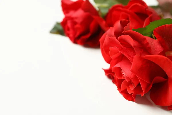 Rote Rosen Auf Weißem Hintergrund Platz Für Text — Stockfoto