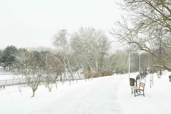Cozy Park Snow Amazing Winter Weather — Stock Photo, Image