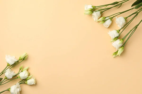 Krásné Bílé Růže Béžovém Pozadí Prostor Pro Text — Stock fotografie