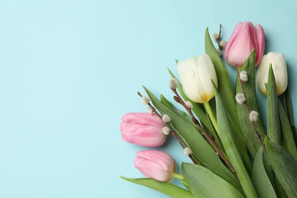 Tulips Willow Catkins Blue Background — Stock Photo, Image