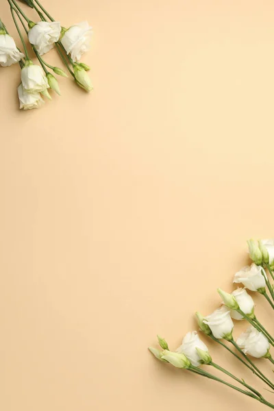 Krásné Bílé Růže Béžovém Pozadí Prostor Pro Text — Stock fotografie