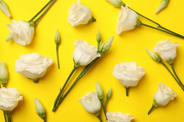 Byt Ležel Krásnými Bílými Růžemi Žlutém Pozadí — Stock fotografie