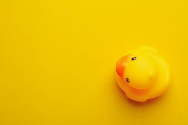 Sarı arkaplanda lastik ördek, metin için boşluk