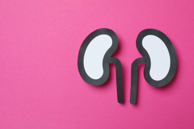 Pembe arka planda kağıt böbrekler, metin için boşluk