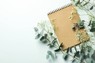 Okaliptüs, çingene ve beyaz arka planda not defteri.