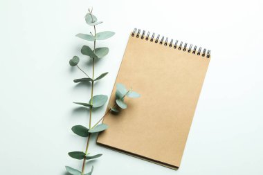 Beyaz arkaplanda defter ve okaliptüs dalı