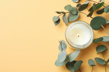 Güzel okaliptüs ve bej arka planda mum.