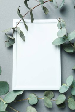 Gri arkaplanda boş çerçeve ve okaliptüs