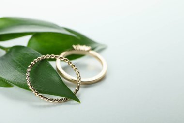 Beyaz arkaplanda yapraklar ve altın halkalar